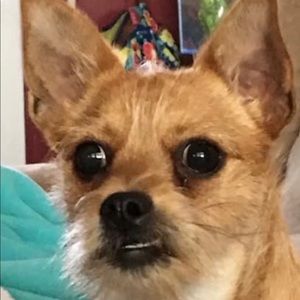 Meet your Posher, Trevor